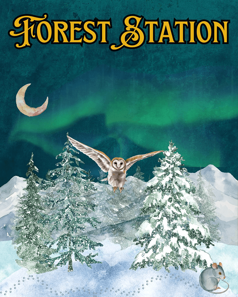 Forest Station band poster