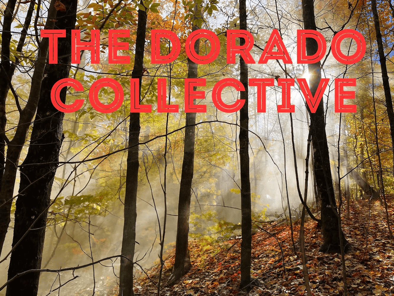 The Dorado Collective band poster